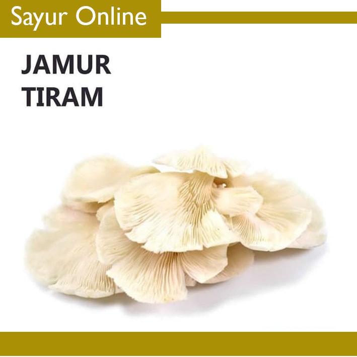 

[SayurOnline] JAMUR TIRAM [250g]