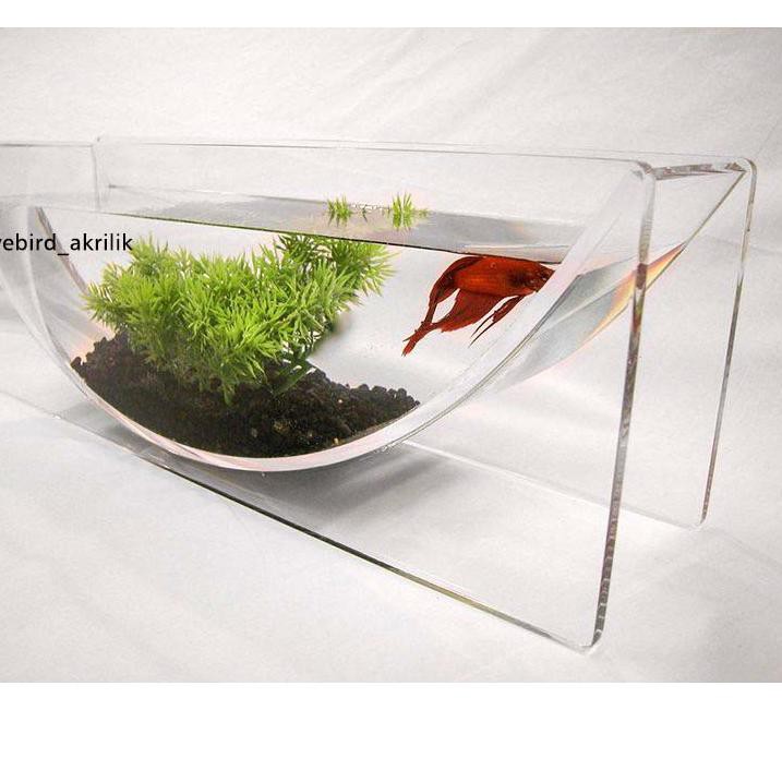 Aquarium Unik Ikan Cupang - Model Aquarium Toples Unik ...