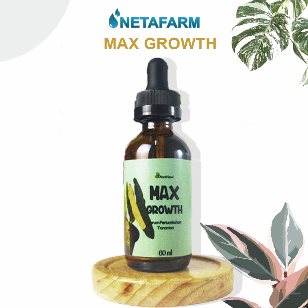 Serum Max Growth untuk Mempercepat Pertumbuhan Tanaman 60ml - 1pcs