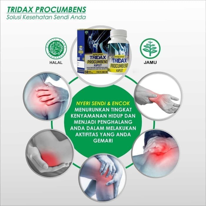 (BISA COD) Tridax Procumbens Kaplet | Untuk Asam Urat, Pegal Linu, Nyeri sendi dan Encok