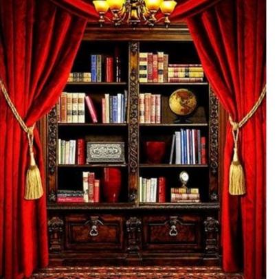 b0⋆Pasti Murah✪ Background Foto / Rak Buku/ Latar Belakang Wisuda WS-30 uk 3x2,5m Studio Photo 54 ⋆