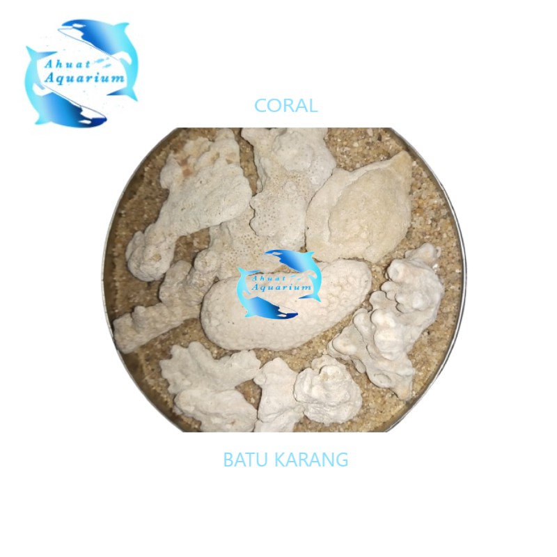 BATU KARANG JAHE KARANG HIASAN AQUARIUM 1KG | CORAL AQUARIUM | BATU KARANG AQUARIUM | BATU HIAS