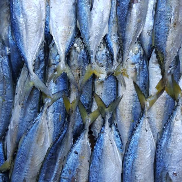 

Ikan kembung Rebus 1000gr