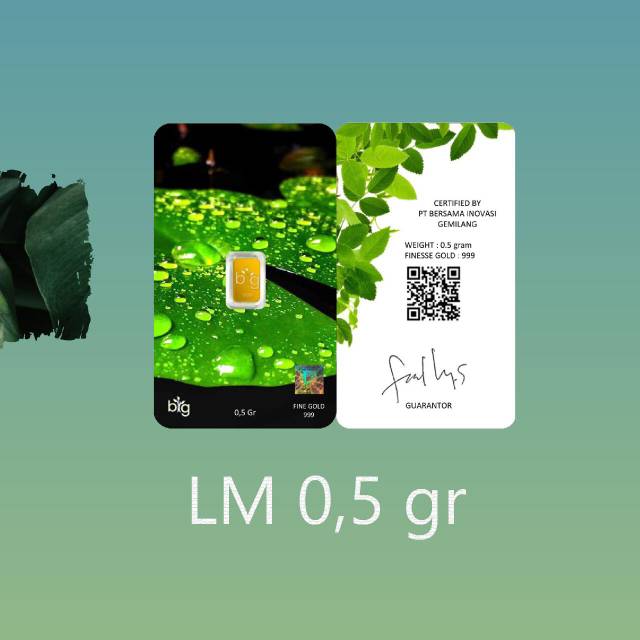 0,5 gram LM