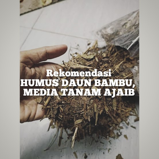 Media Tanam Humus Daun Bambu dan Kandang-kompos Daun Bambu Kering Berkualitas Repack