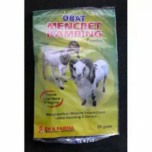 Obat untuk kambing sakit