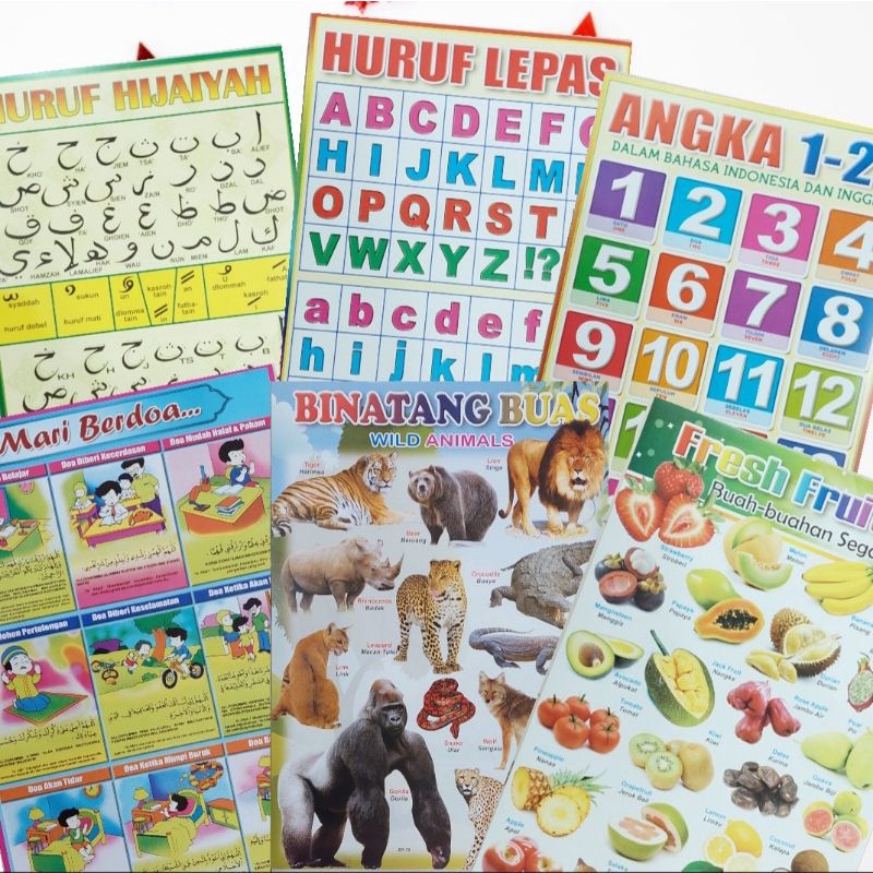 

Poster Edukasi Anak paling murah Belajar Berhitung Angka Penjumlahan / Perkalian / Angka 1-10 / Angka 1-50 / Angka 1-100/ Belajar Huruf / Buah / Doa Sehari hari / Hewan / Hijaiyyah / Tata Cara Wudhu / Tata Cara Shalat / Latihan Membaca / Alphabet