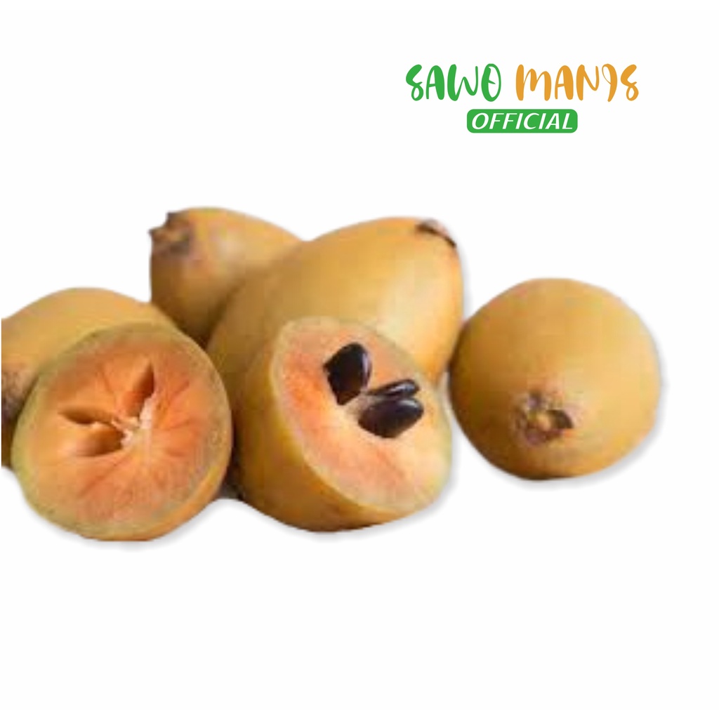 

Buah Sawo manis