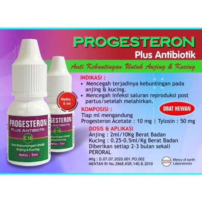 Obat anti hamil untuk anjing & Kucing + Antibiotik|Progesteron