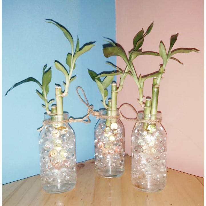 Souvenir Pernikahan Bambu Hoki