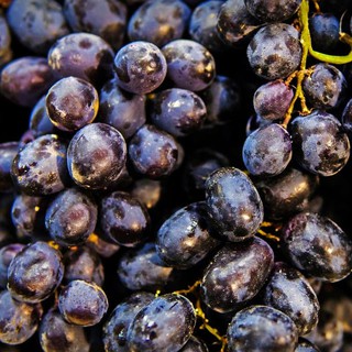 

Australia Sweet Sapphire Black Grape (Anggur Hitam Australia) 3kg