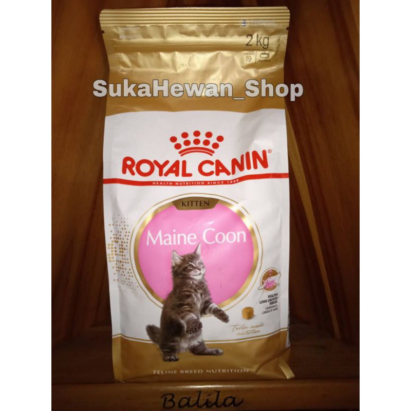 Royal Canin Maine Coon Kitten 2kg