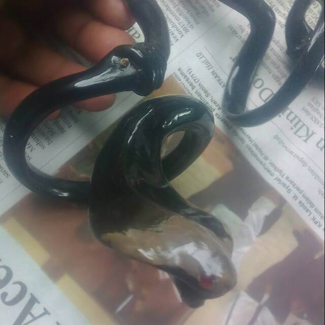 

Akarbqhar kobr