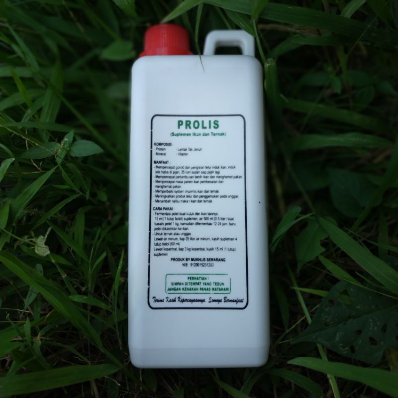 PROBIOTIK Ikan Probiotik Lele untuk Pembesaran