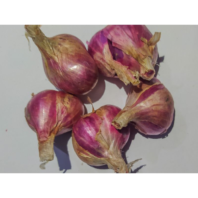 

BAWANG MERAH