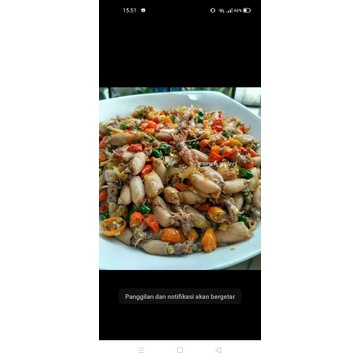 

setiap beli cumi cumi pedas uk. 500 gram gratis nutrisari dingin