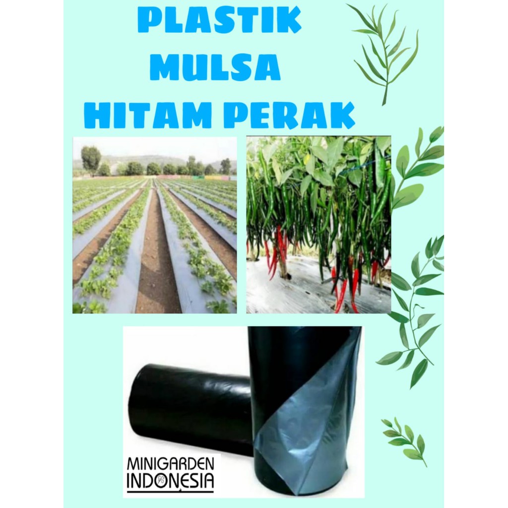 PLASTIK MULSA PERTANIAN HITAM PERAK penutup tanah sawah ORIGINAL kualitas import