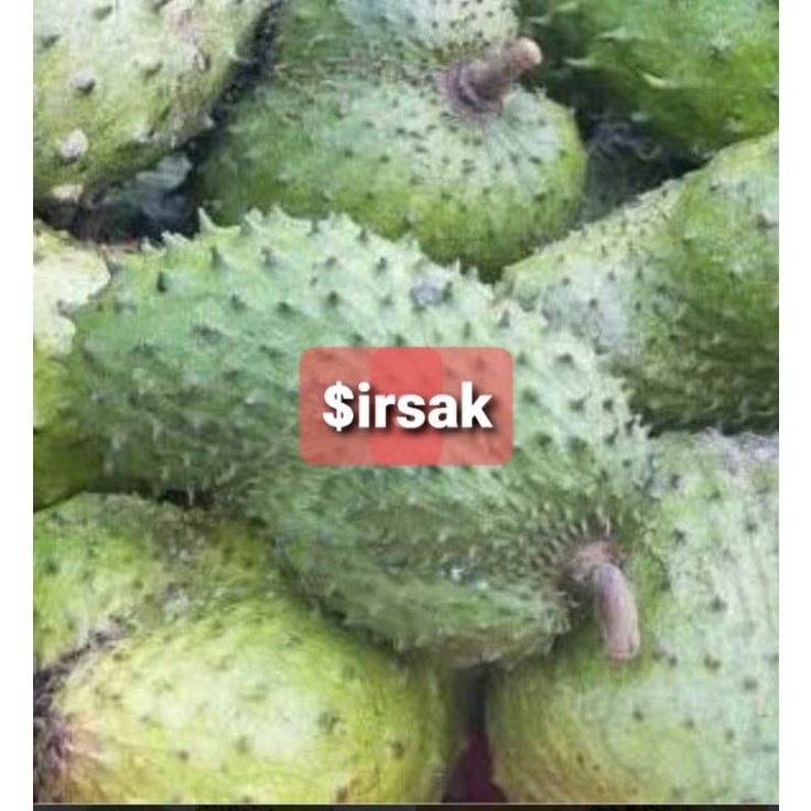 

buah sirsak 1kg