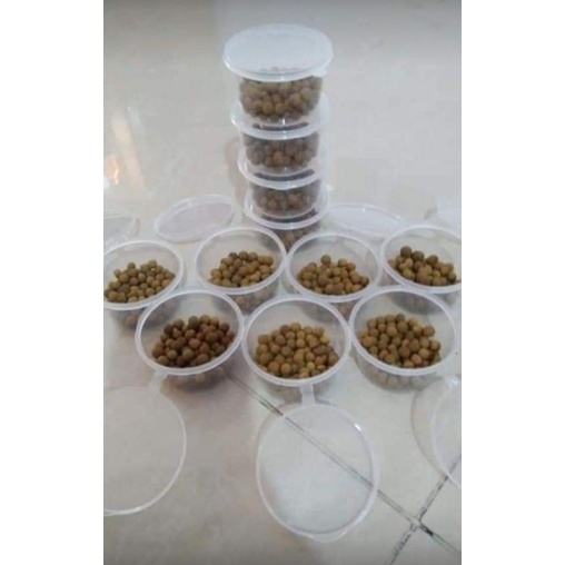 PILL PAYUDARA RATU ENTOK