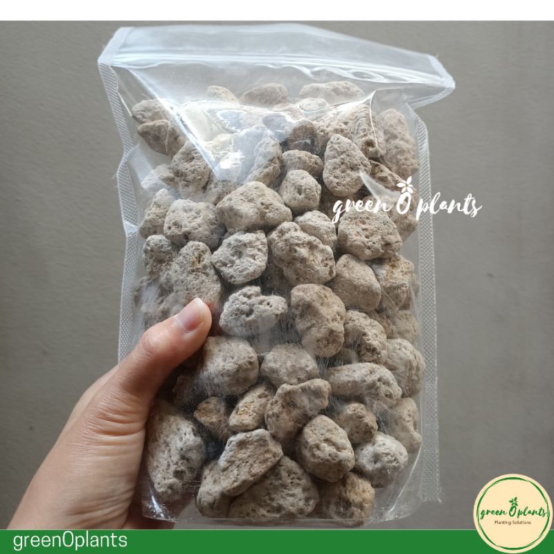 Pumice Besar Batu Apung Dasar Pot Size XL 1 Kg