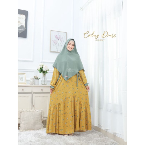 CAILEY DRESS BY ATTIN