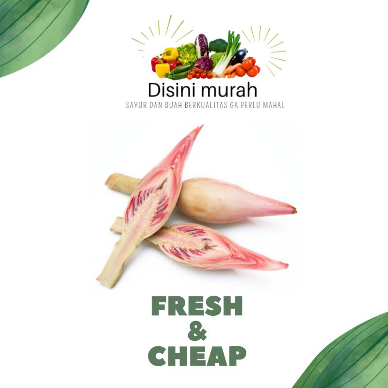 

KECOMBRANG per TANGKAI