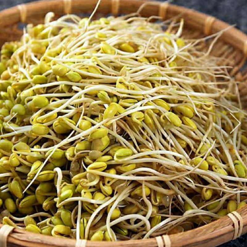 

Toge kedelai Besar 250gram