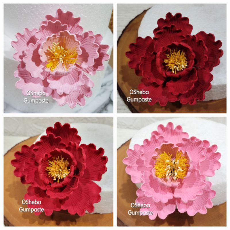

[osheba] gumpaste bunga bs peony 10 cm warna pink