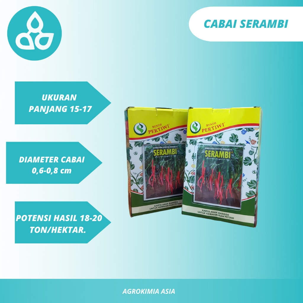 Benih Cabe Keriting Hibrida SERAMBI - Benih Cabai Pertiwi - Cabai Keriting Lokal