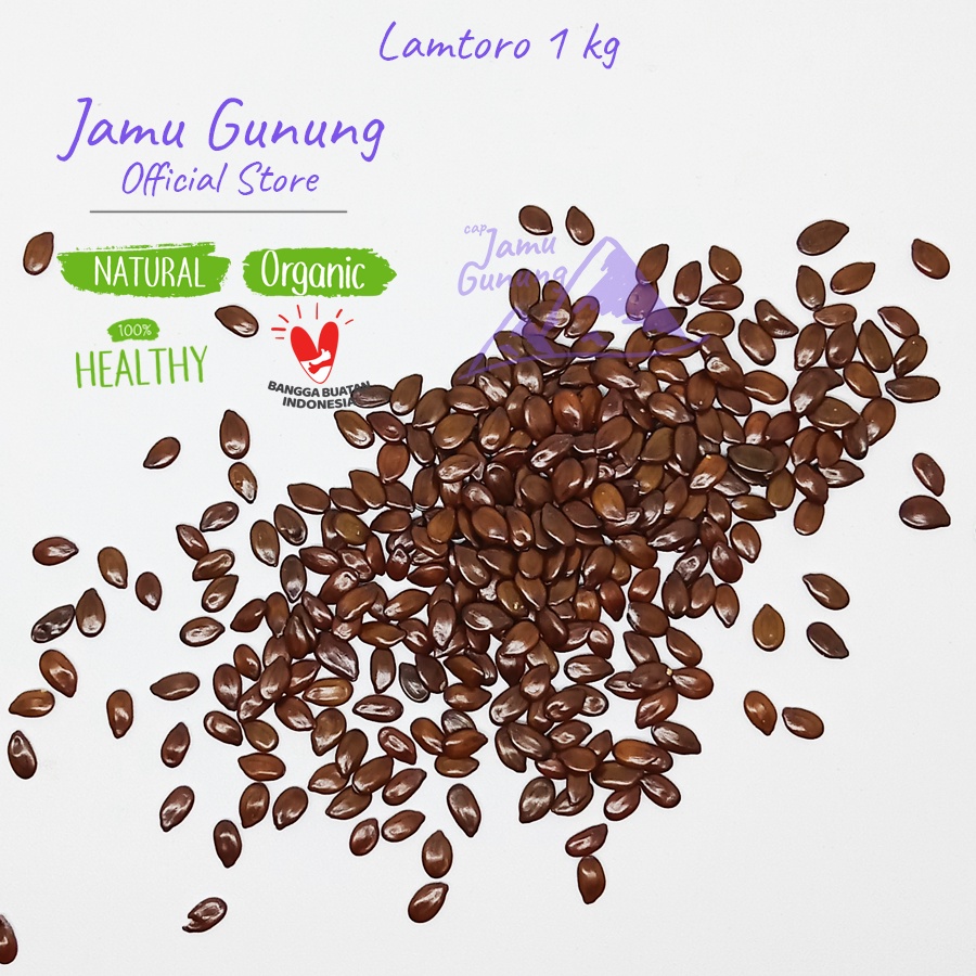 Biji Lamtoro Gung 1kg atau Petai Cina Kering - Obat Diabetes 