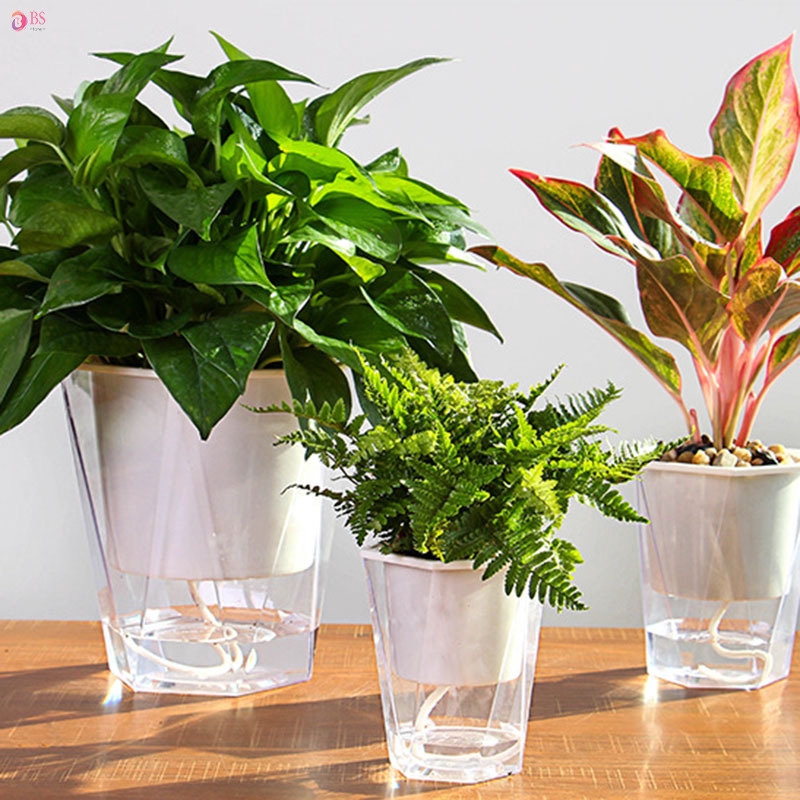  Pot  Bunga  Tanaman Transparan Self Watering Shopee Indonesia