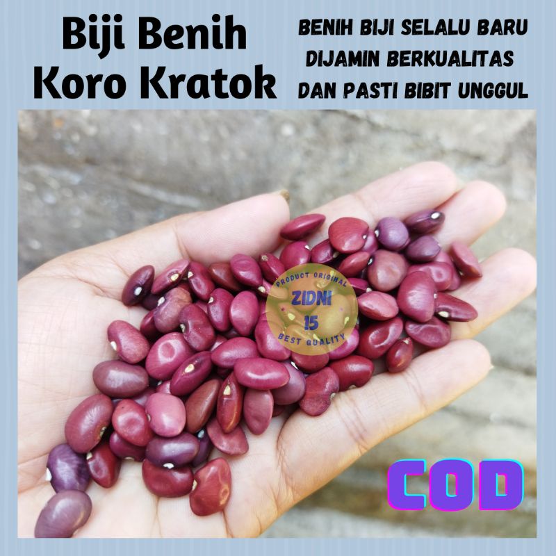 

[500g] Kacang koro kratok kekara roay karopo saru kara