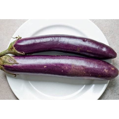 

TERBARU TERONG UNGU ( SAYUR - SAYURAN CURAH ) !!!!!