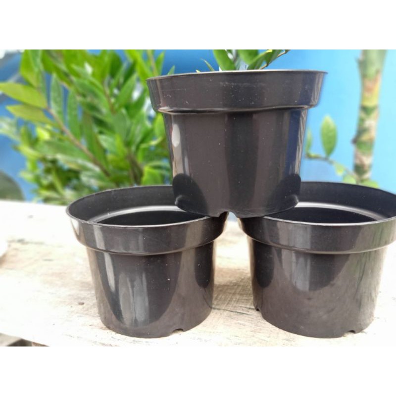 Pot putih hitam 17 pot bunga hias kopeng 17 hitam putih