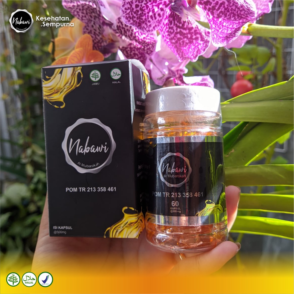 [60 KAPSUL] HABBATUSSAUDA NABAWI AL MUBAAROKAH | HABBATUSSAUDA OIL | NABAWI OIL | HABBATUSSAUDA NABA
