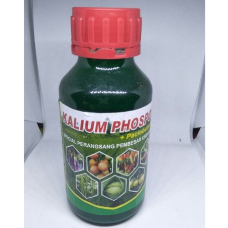 pupuk murah Pupuk Cair Kalium Phospor + Paclobutrasol