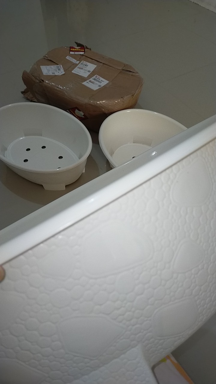 Pot Bunga Bonsai Ov10