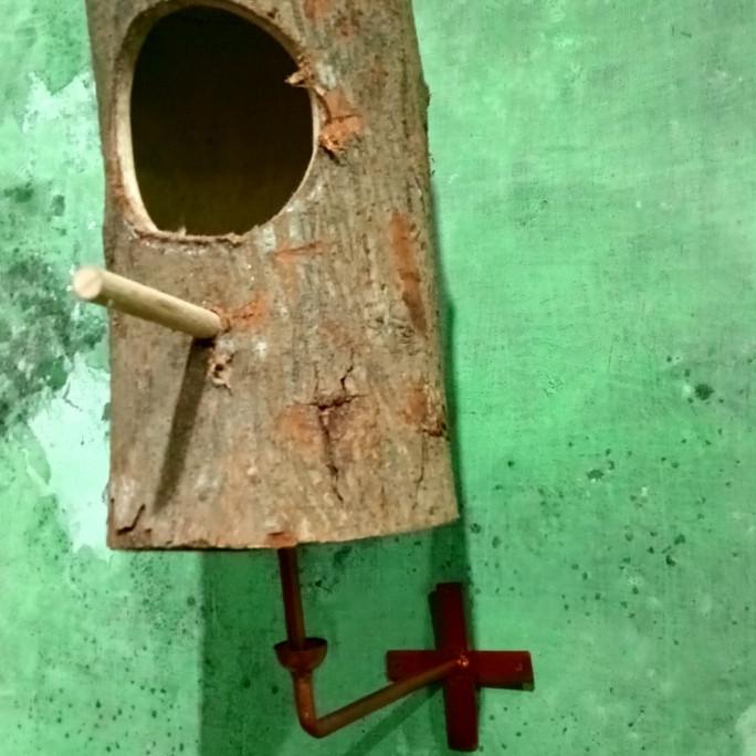 "'''] Glodok pohon murai Lovebird Anti Semut free Baut Fisher