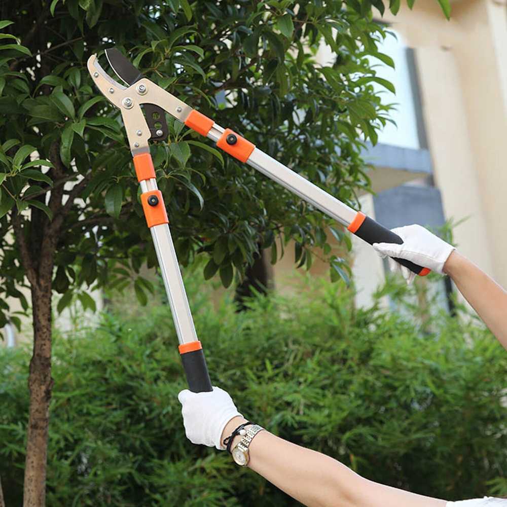 Gunting Dahan Ranting Tinggi Telescopic Garden Pruning Shear Gagang Panjang 2026 Gunting Pohon Kebun