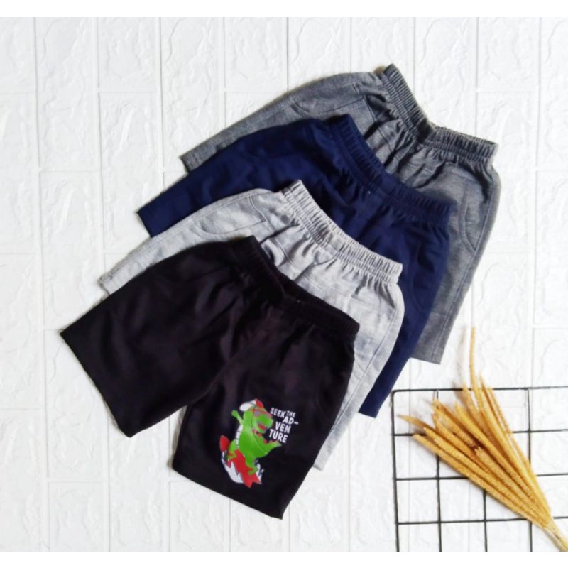Celana Pendek Anak 1-10 Tahun Babyterry Premium Cewek Cowok