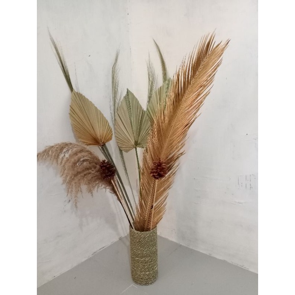 Paket Murah Daun Palem Kering Mini Pampas+Rayung/Pampas Tanpa Bulu+Sikas+Pinus Tangkai