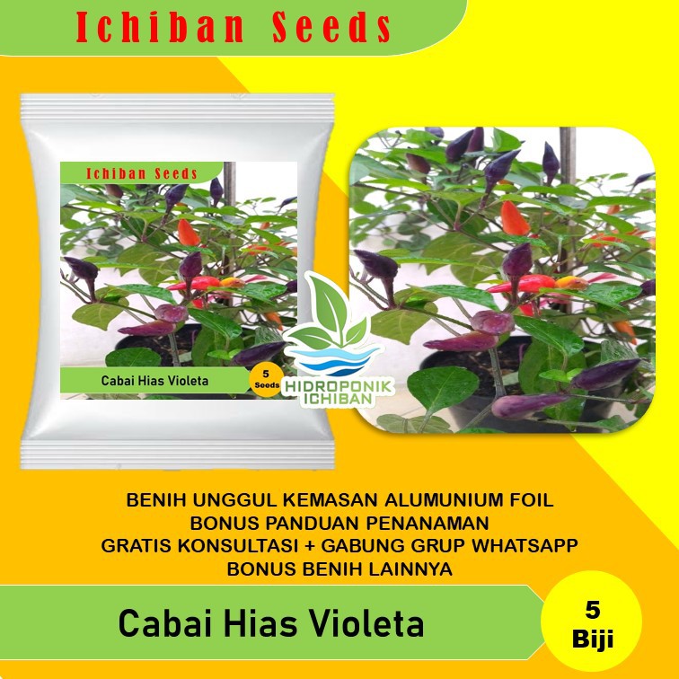 Jual Benih Bibit Biji Cabai Cabe Hias Violeta Kemasan Alumunium Foil Indonesia Shopee Indonesia