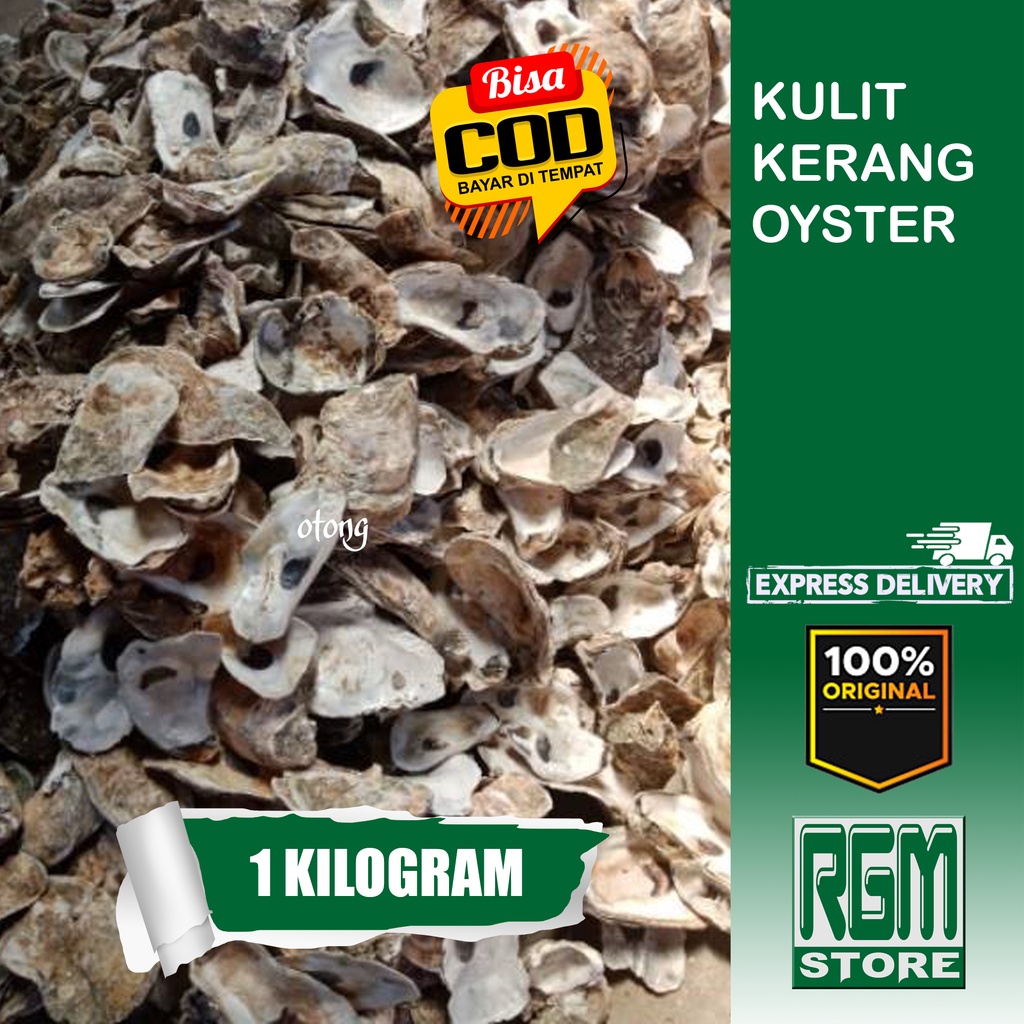 oyster kulit kerang 1 KILOGRAM 1KG media filter kolam aquarium ikan