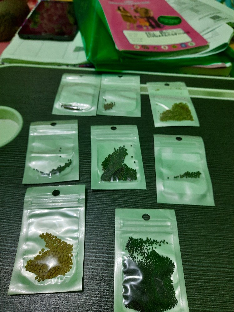 Benih Brokoli Kemasan Repack Isi Puluhan Kemasan Zip Lock