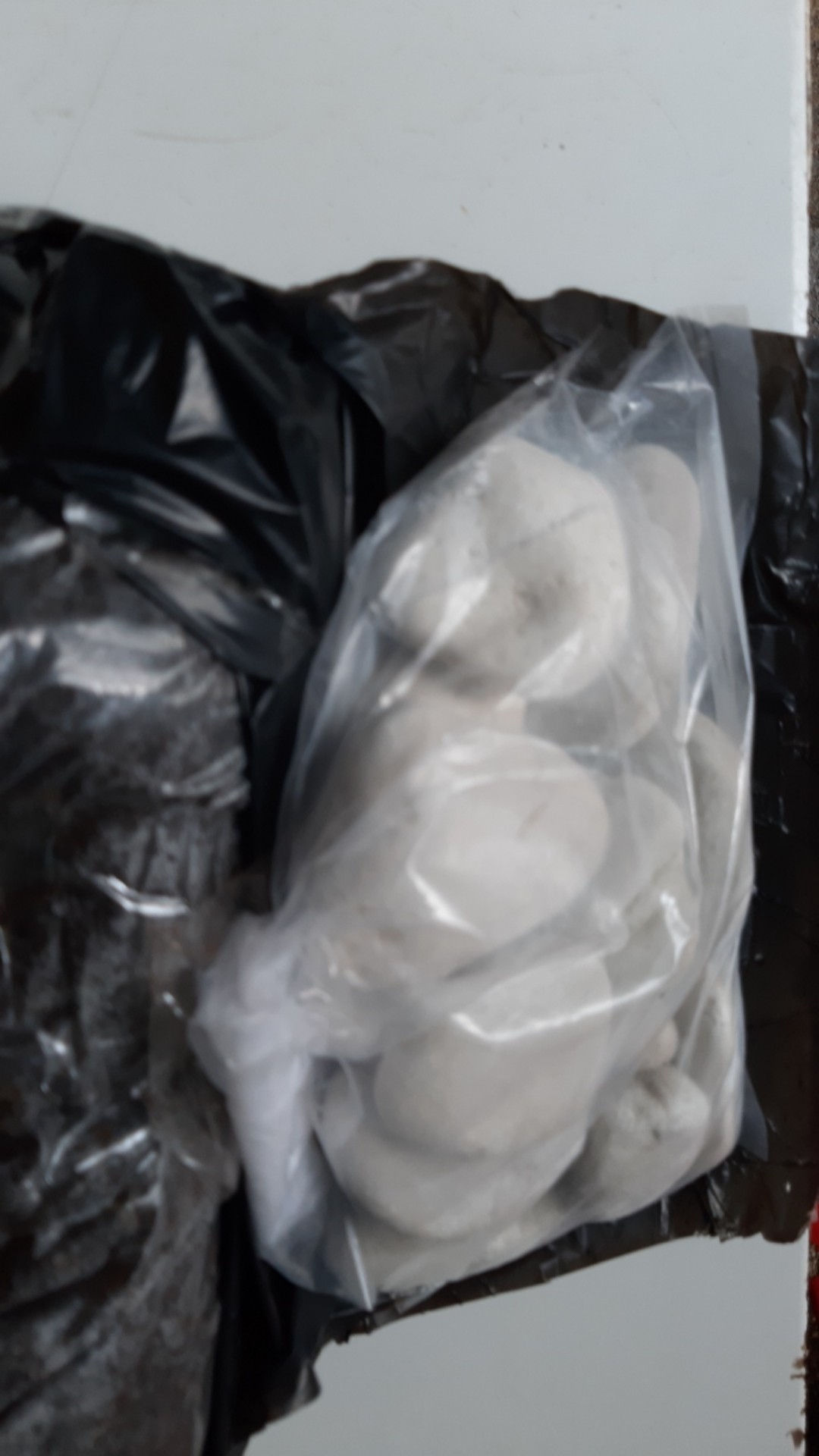 Batu Koral Putih Kupang