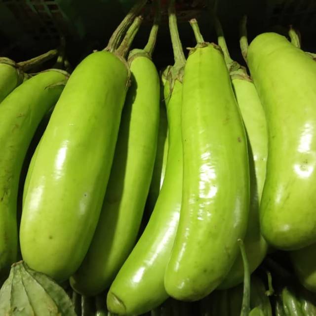 

Terong hijau super murah(500gram)