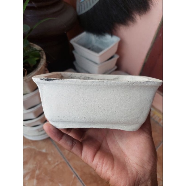 pot bonsai mame bahan semen