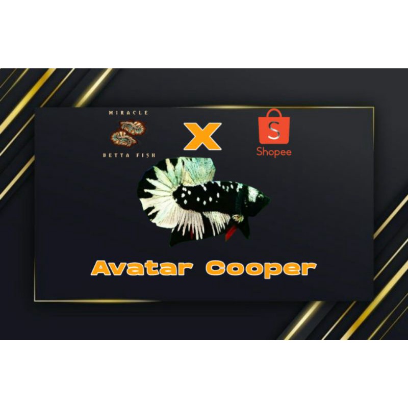 IkanCupangHiasAvatarCooper