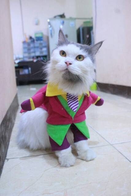 Kostum Joker hijau lucu untuk kucing dan anjing / baju kucing murah size S M L XL