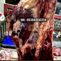 

Daging Sapi kualitas no 1